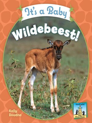 cover image of It's a Baby Wildebeest!